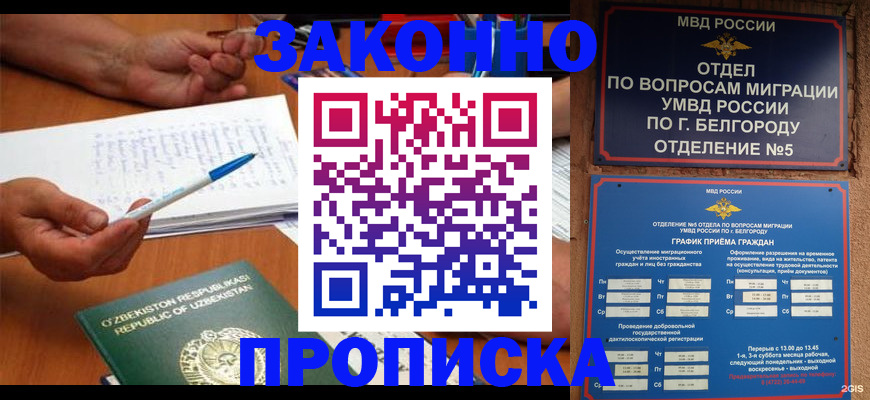 помощь с пропиской в Лангепасе